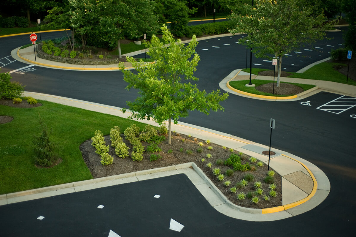 GettyImages-174703325 Non-functional turf / lawn additional example