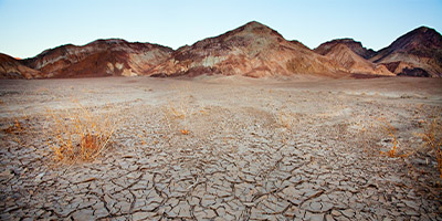 Drought landscape