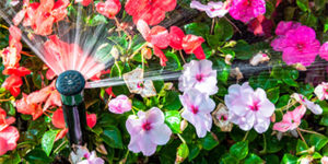 Water-efficient sprinkler