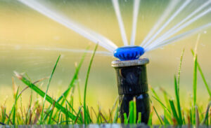 Aspersor de césped