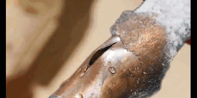 How to Protect your Pipes from Winter Weather