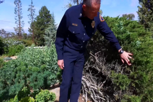 Seguridad contra incendios: días ventosos y calurosos