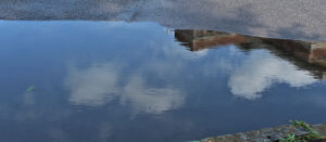 puddle