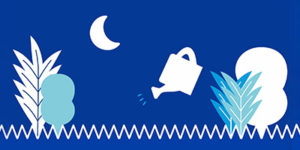 Ahorre agua en exteriores