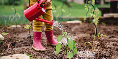 Child watering plants in a garden
