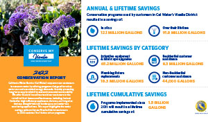 Visalia 2022 conservation report infographic