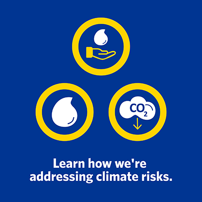 Learn how we're addressing climate risks