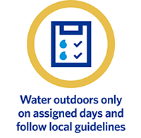 Water outdoors only on assigned days and follow local guidelines
