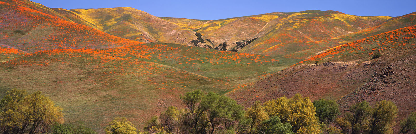 Antelope Valley