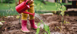 Un niño regando plantas en un jardín