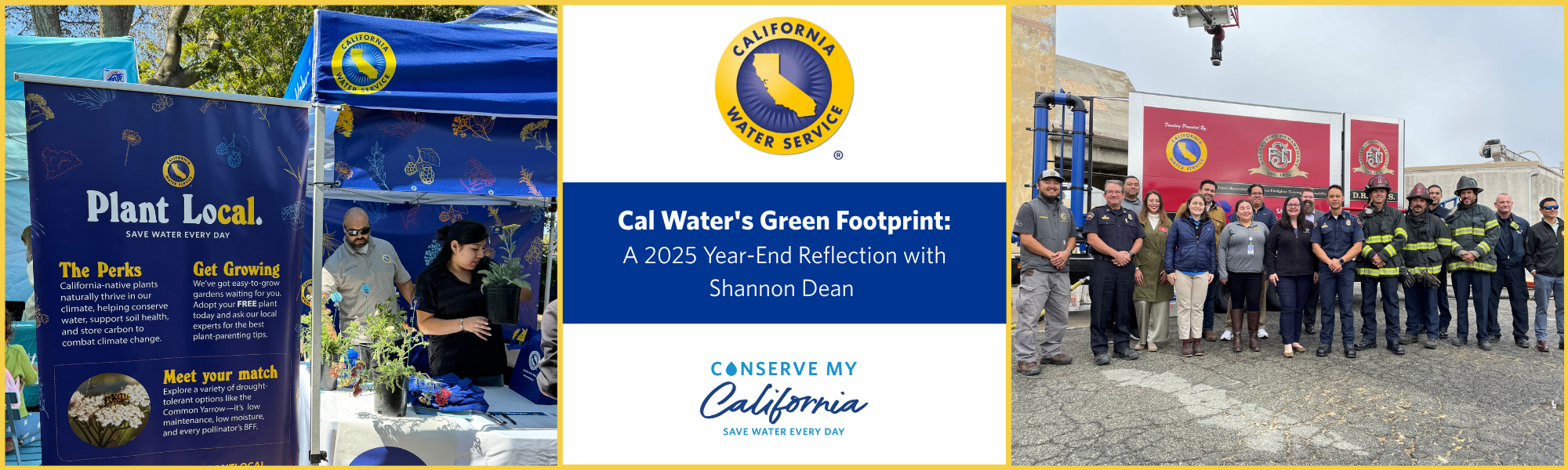 A 2025 Year-End Reflection with Shannon Dean